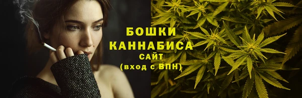 тгк Богородицк