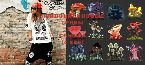 тгк Богородицк