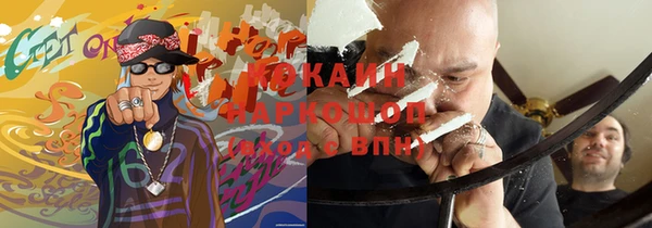 тгк Богородицк